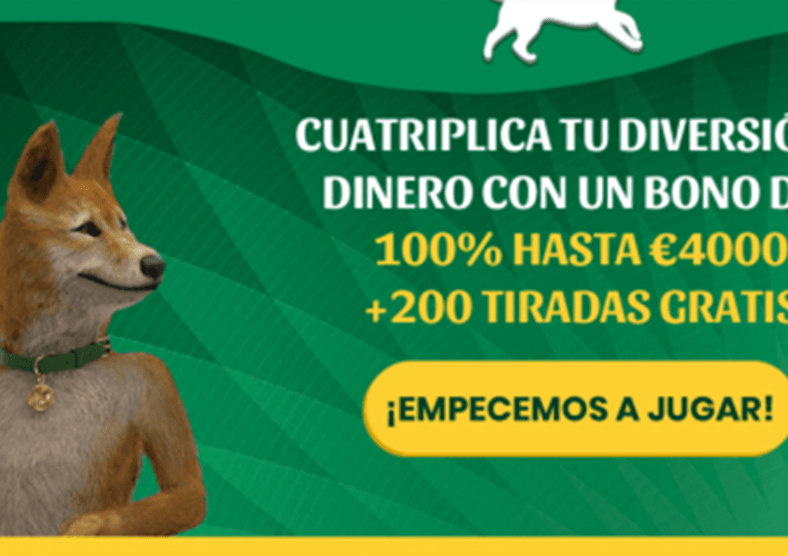 casino dingo bono