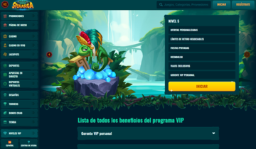 Spinanga casino programa VIP